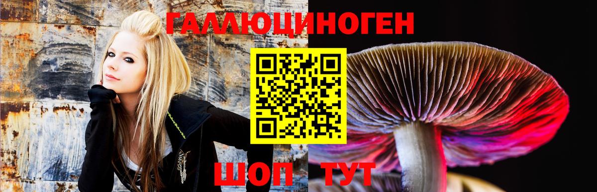 Псилоцибиновые грибы ЛСД Зеленокумск